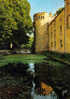 Delcampe - Carte Postale 91.  Milly-la-Forêt  Le Chateau Des Sires De Graville  Trés Beau Plan - Milly La Foret