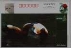 Ruddy Shelduck,CN 05 Bird Kingdom Qinghai Salt-water Lake National Nature Reserve Advertising Pre-stamped Card - Eenden