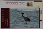 #4,Endangered Species Black-necked Crane Bird,Plateau Wetland,CN07 Longbaotan Nat'l Nature Reserve Pre-stamped Card - Grues Et Gruiformes