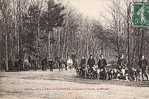 Villers Cotterets : La Chasse à Courre, La Meute - Villers Cotterets