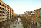 3079 - CERIGNOLA (FOGGIA) - Viale Roosevelt - Cerignola