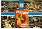 CHALLANS 85 Vue Générale Sur La Ville Le Marché De Cochon Et De Cananrd Editions Artaud - Challans