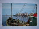 Le Port De Le Guilvinec . C.p.photo 14x9 - Guilvinec