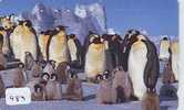 TELEFONKARTE Japan Oiseau PENGUIN (483) Pinguin MANCHOT PINGOUIN Bird Vogel - Pingueinos