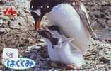 TELEFONKARTE Japan Oiseau PENGUIN (488) Pinguin MANCHOT PINGOUIN Bird Vogel - Pinguins