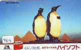 TC Japan Oiseau PENGUIN (489) Pinguin MANCHOT PINGOUIN Bird Vogel * CAMERA - Pingouins & Manchots