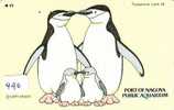 TELEFONKARTE Japan Oiseau PENGUIN (490) Pinguin MANCHOT PINGOUIN Bird Vogel * 290-43110 * - Pinguine