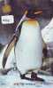 TELEFONKARTE Japan Oiseau PENGUIN (494) Pinguin MANCHOT PINGOUIN Bird Vogel * - Pingueinos