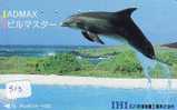 DOLPHIN DAUPHIN Dolfijn DELPHIN Tier Animal (513) Telecarte Japan - Delphine