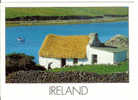 IRELAND A Traditional Irish Cottage - Other & Unclassified