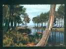 CPSM - Biscarosse Plage (40) - Canal De Navarosse Et Lac De Cazaux Sanguinet ( THEOJAC 3) - Biscarrosse