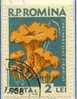 PIA - ROM - 1958 : Champignons - (Yv 1589) - Used Stamps