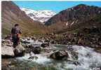 CPM    LES PYRENEES    LA PECHE A LA TRUITE EN MONTAGNE  1985 PECHEUR A LA LIGNE - Pêche