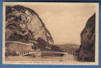 Environs De YENNE - Le Rhône Dans Les Gorges De La Balme - Yenne