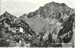 VAUD CAUX ET LE ROCHE DE NAYE - Roche