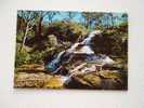 Katoomba Cascades - Blue Mountains - N.S.W.  - Australia  -     VF D36906 - Other & Unclassified