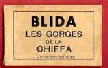 ALGERIE BLIDA LES GORGES DE LA CHIFFA  CARNET COMPLET DE 12 CARTES AVEC LES SINGES ENTRE AUTRES CARTES - Blida