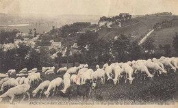 76 . ARQUES-LA-BATAILLE . Troupeau De Moutons Depuis La Côte De Gruchet . - Arques-la-Bataille