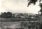 S.croce Di Magliano(campobasso)panorama - Campobasso