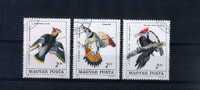 - HONGRIE . ENSEMBLE DE TIMBRES SUR LES PICS ET GRIMPEURS - Piciformes (pájaros Carpinteros)