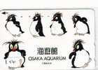 Oiseau PENGUIN (541) Pinguin MANCHOT PINGOUIN Bird Vogel - Pingouins & Manchots