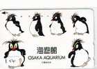 Oiseau PENGUIN (541) Pinguin MANCHOT PINGOUIN Bird Vogel - Pinguins