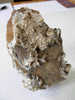 CALCITE CREME SUR CALCAIRE MARRON 10 X 8 CM ALLENC  LOZERE - Minerali