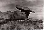 PLOUMANAC'H (la Bouteille Renversée) - Dolmen & Menhirs