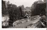 SAUVETERRE De BEARN 64 Le Pont De La Légende Editions Yvon Véritable Photo Carte Dentelée - Sauveterre De Bearn