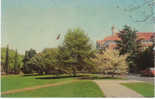 Greenville NC, East Carolina College Education Campus, Vintage Sports Car Ausin Healey(?) MGA(?) - Andere & Zonder Classificatie