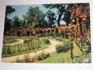 M606 -   Marseille Le Parc Borely La Roseraie - Parques, Jardines