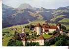 GRUYERES  -   Le Château Et Le Moleson - Gruyères