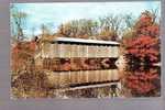 Fallasburg Covered Bridge - Near Fallasburg Park, Vicinity Of Lowell, Michigan - Altri & Non Classificati