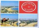 Cpsm AGADIR Souvenir - Vue Panoramique Plage -728 Casa Image - Agadir