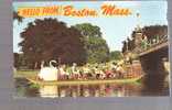 Swan Boat - Hello From Boston, Massachusetts - Boston