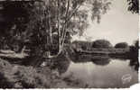 Les Bords De L´Yerres - Yerres