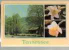 Jolie CP Etats Unis Tennessee Multivue Paysage Fleurs - CAD Nashville 23-03-1993 TP Flying Tigers Chennault - Andere & Zonder Classificatie