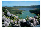 Portugal Cor 2529 – AÇORES AZORES AZOREN - S.MIGUEL - SETE CDADES - AS LAGOAS - HORTENSIA - Açores