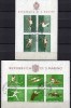 Sommer-Olympiade 1960 Rom San Marino Block 5+7 O 7€ Reiten Fußball Lauf Kugelstoßen Turnen Bloc Sport M/s Olympic Sheets - Zomer 1960: Rome