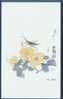 Insect - Insecte - Locust & Daisy, Traditional Chinese Painting - Insects