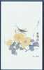 Insect - Insecte - Locust & Daisy, Traditional Chinese Painting - Insetti