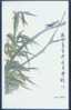 Insect - Insecte - Locust & Bamboo, Traditional Chinese Painting - Insectes