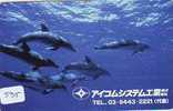 DOLPHIN DAUPHIN Dolfijn DELPHIN Tier Animal (535) * Telefonkarte Telecarte Japan * - Delfines