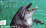 DOLPHIN DAUPHIN Dolfijn DELPHIN Tier Animal (536) * Telefonkarte Telecarte Japan * - Dolphins