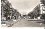 CPSM Dentelé Noir Et Blanc  DRAGUIGNAN Boulevard Georges Clémenceau Et La Préfecture - Draguignan