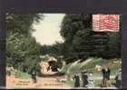 BEL BRUXELLES BRUSSEL Bois De La Cambre, Grand Ravin, Bien Animée, Carte Glacée, Colorisée, Ed GBA 57, 1909 - Foreste, Parchi, Giardini