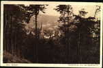 *GERMANY - BAD ELSTER-002 - DURCHBLICK VON DER APELTHÜTTE - 1931 - Bad Elster