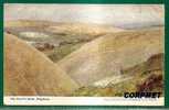 THE DEVIL´S DYKE - BRIGHTON - From A Water Colour Drawing By W.H. BORROW Sent In 1908 To BUENOS AIRES - Brighton