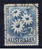 AUS+ Australien 1959 Mi 299 Wollblume - Used Stamps