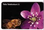 HONEYBEE ( Sweden Card ) Abeille Bee Biene Abeja Ape Bees Abeilles Honeybees Honey-bee * - See Scan For Condition - Suède
